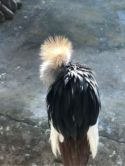 水暖安装