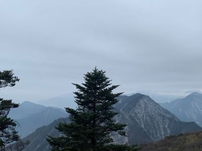 室内装修木工