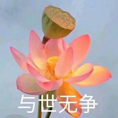 医疗器械