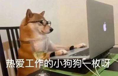 财务