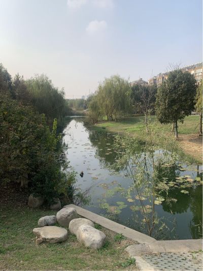无