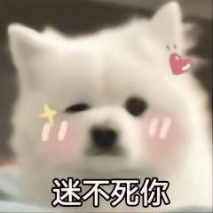 水电安装