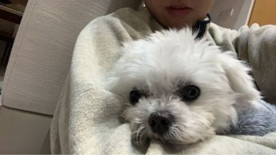 老王