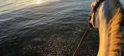 什么都会干开车送货搬家装修安装