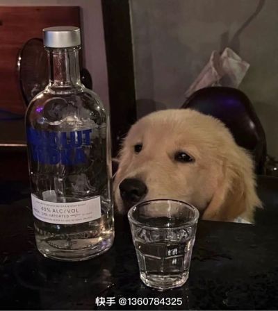 们窗安装工
