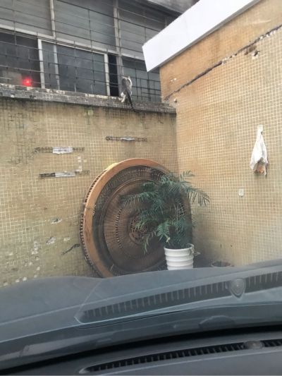无