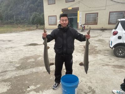 泥工水电工