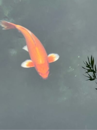 氩弧焊不锈钢容器氩弧焊