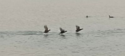 装饰设计墙布装修相关设计，施工水电改造