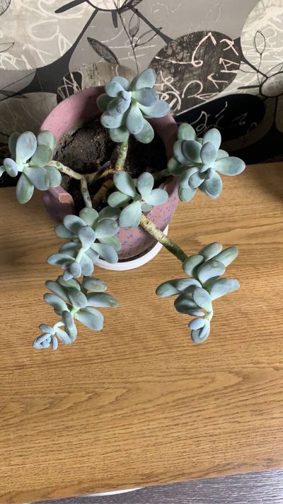 综合维修