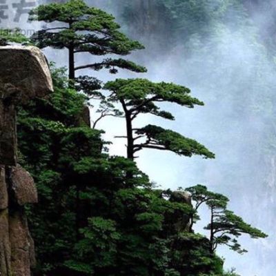 景观工程