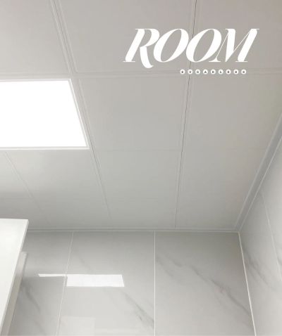 专业吊顶卫浴