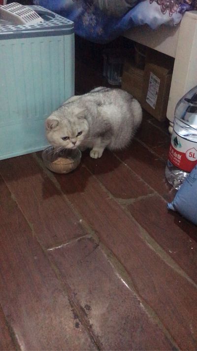 安装民用家具安装