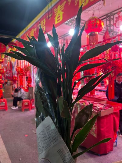 安装师傅