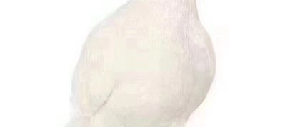 空调安装移机维修清洗回收