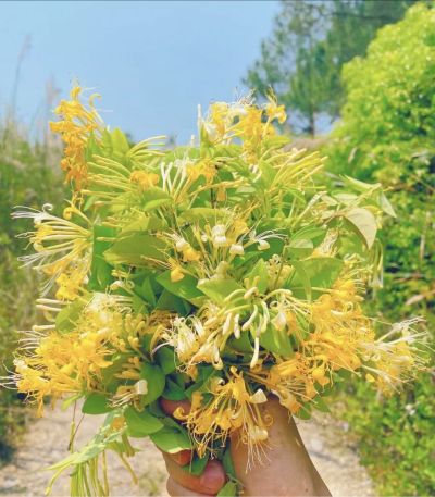 油漆工杨师傅油漆工无无