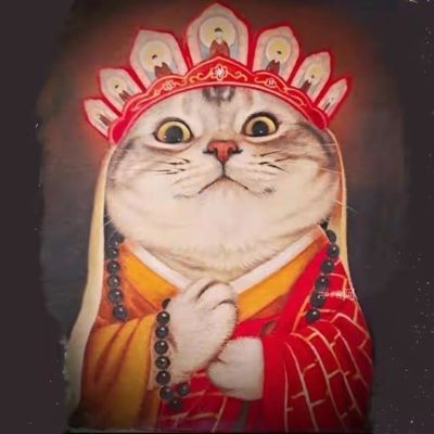 杜亚电动窗帘