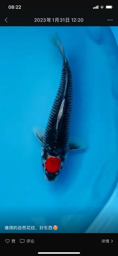 安装维修检测