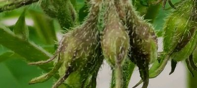 工装家装水电整分包