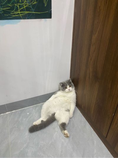 无
