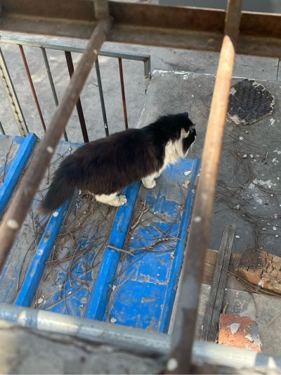 专业电路维修