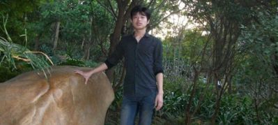 任意杂事