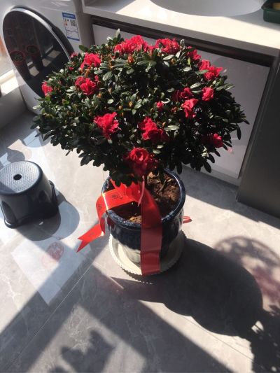 保温
