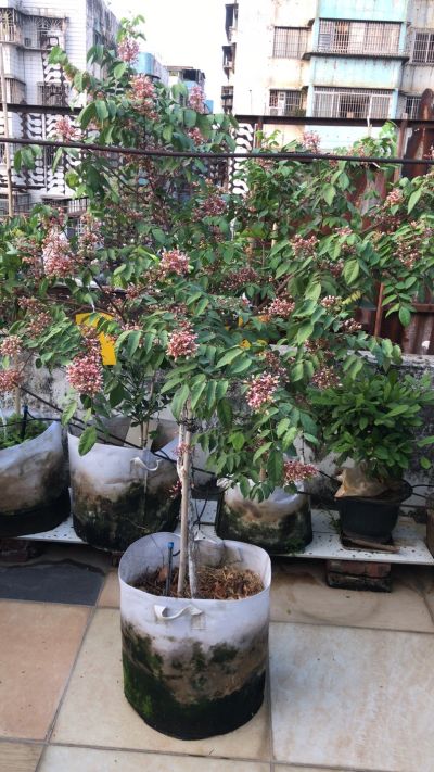 水电修灯饰安装
