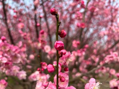 防静电地板