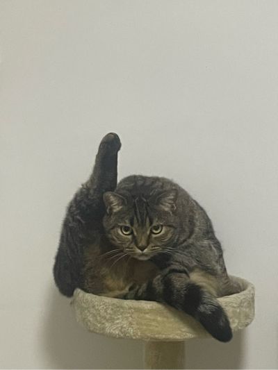家具安装