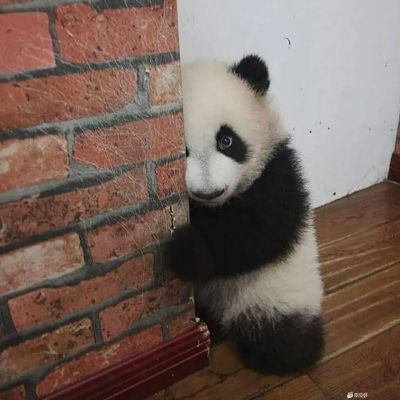 电工焊工