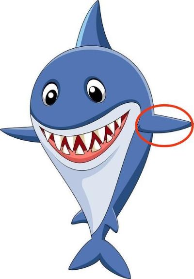 空调安装维修空调安装维修