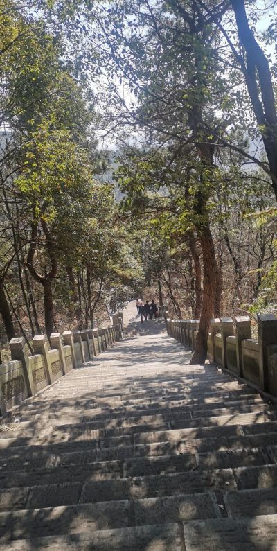 专业酒店，写字楼，门面，工装，家装装修，王工15802772924