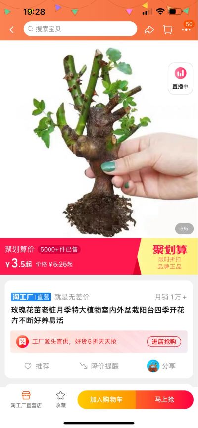 无
