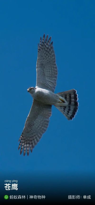 维修装修水电安装维修维修