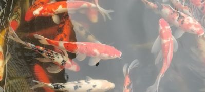家装家装维修