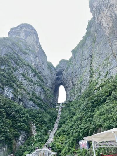 瓷砖红木维修