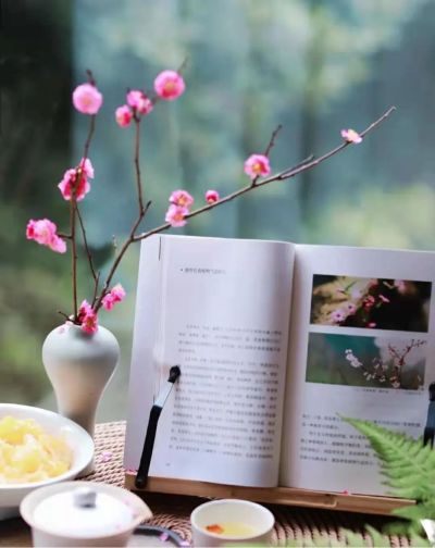 涂料销售美缝施工