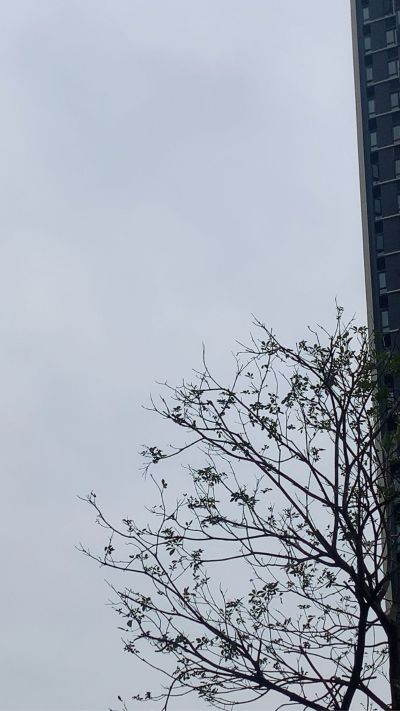 装修