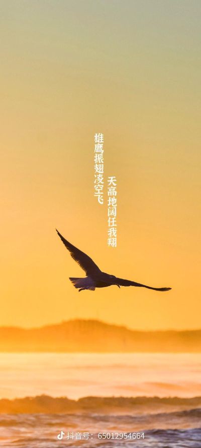 湖州水电