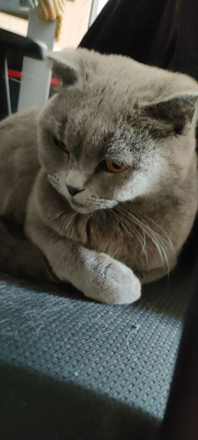 家电维修