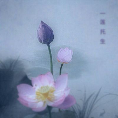 电工