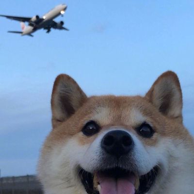 家装活