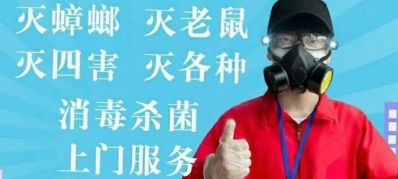 四害消杀白蚁