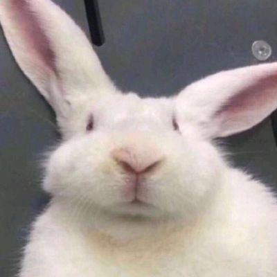 窗帘安装