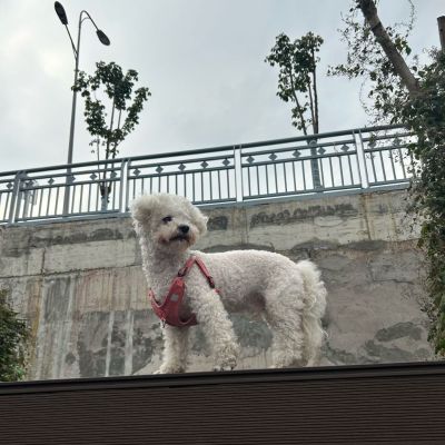 无