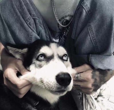 各种广告安装