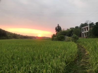 广州周边城市需要玻璃、家具贴膜的老板可以联系我