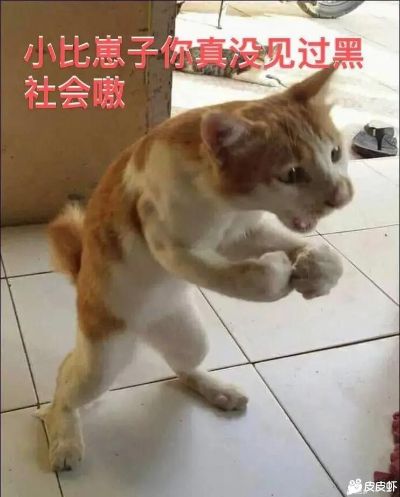 无管道安装无