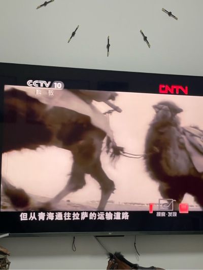无无